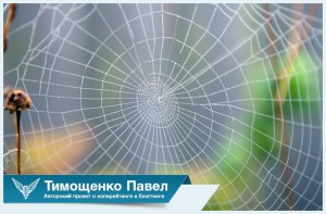 Паутина