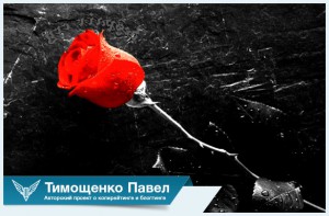 Аудит блога