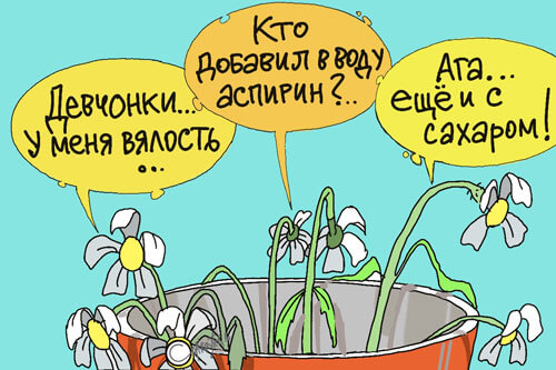 На картинке завядшие цветочки