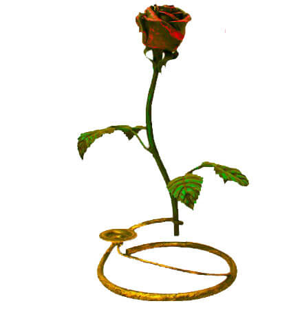 Вот как выглядит этот цветок