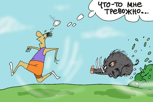 Авторский рисунок блога За бегуном бежит кабан