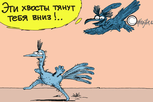 Авторский рисунок блога Хвосты тянут вниз