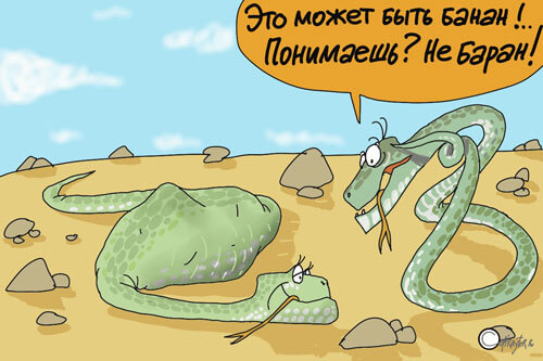 Авторская картинка copirayter.ru Змея съела барана вместо банана