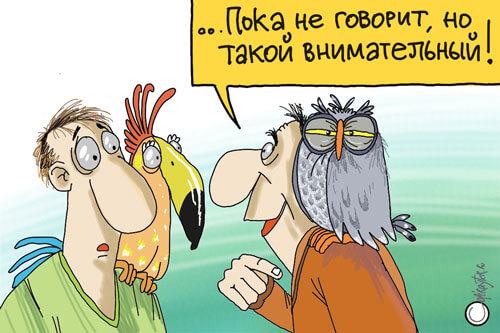 Авторский рисунок блога Попугай молчит, но все понимает