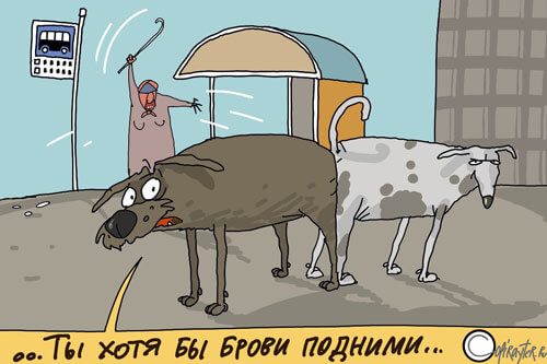 Авторский рисунок блога Собака сдвинула брови