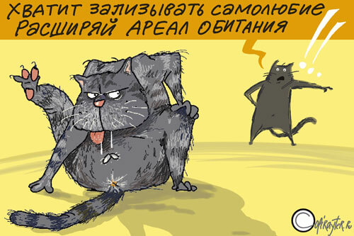 Авторский рисунок Павла Ямба Кот лижет кое-что