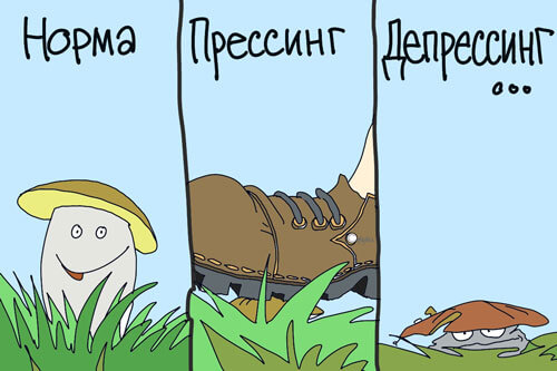 Прессуют гриб