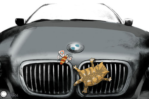 Кот и пчела на машине