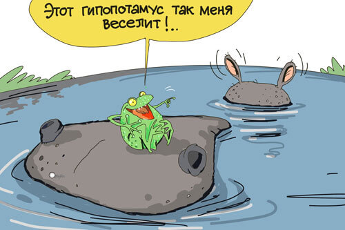 Лягушка на гиппопатаме