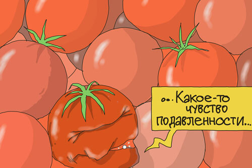 Помятые помидоры