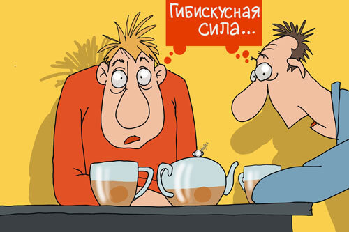 Гибискусная сила