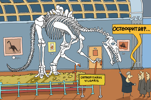 Скелет динозавтра в музее