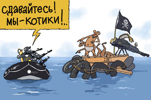 Пираты смеются над морскими котиками