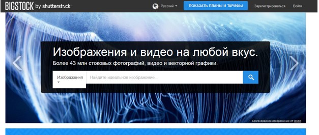 bigstockphoto.com