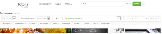 Поиск по сайту