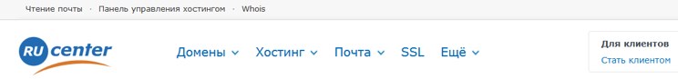 nic.ru